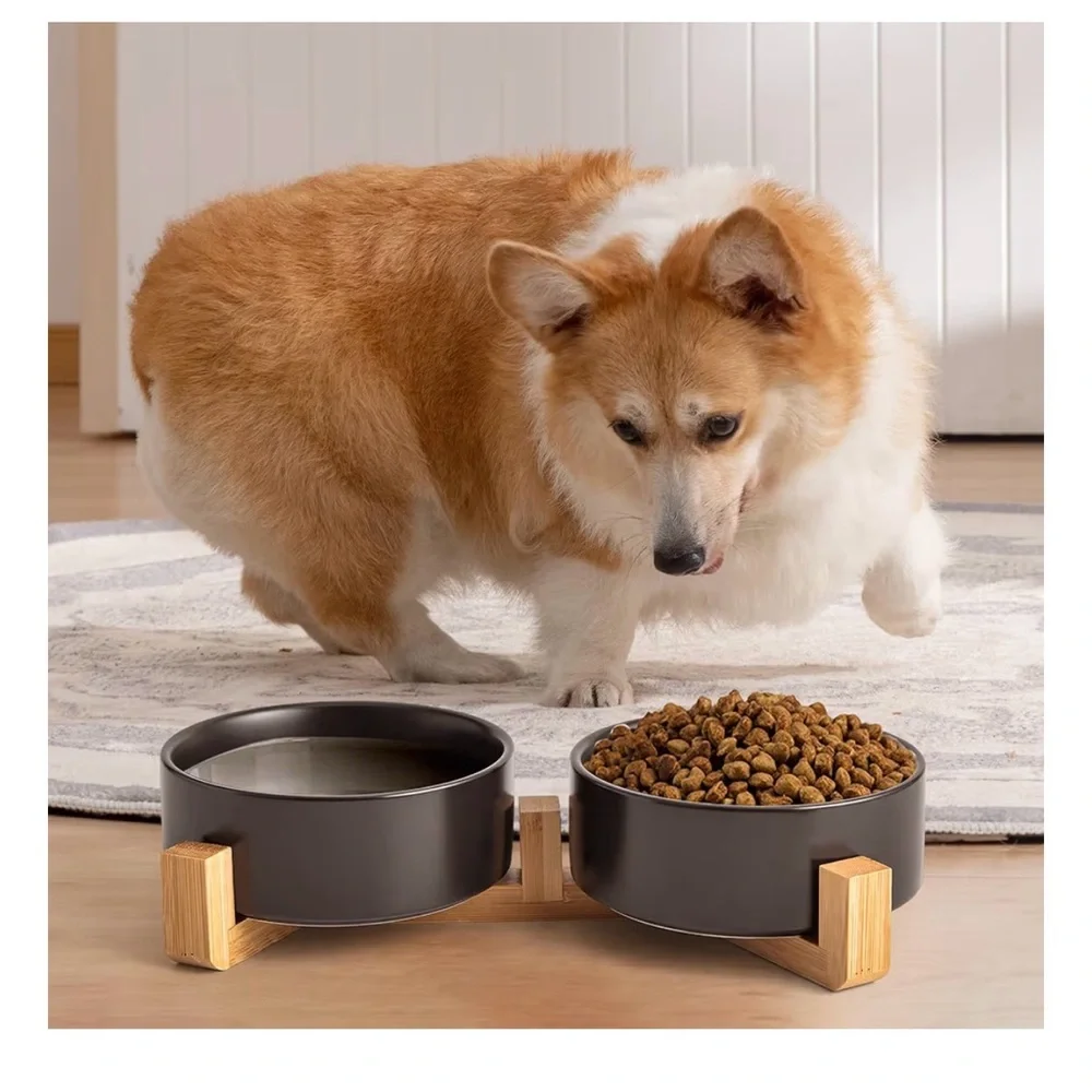 Black Ceramic Dog & Cat Bowl Set W/Wooden Stand